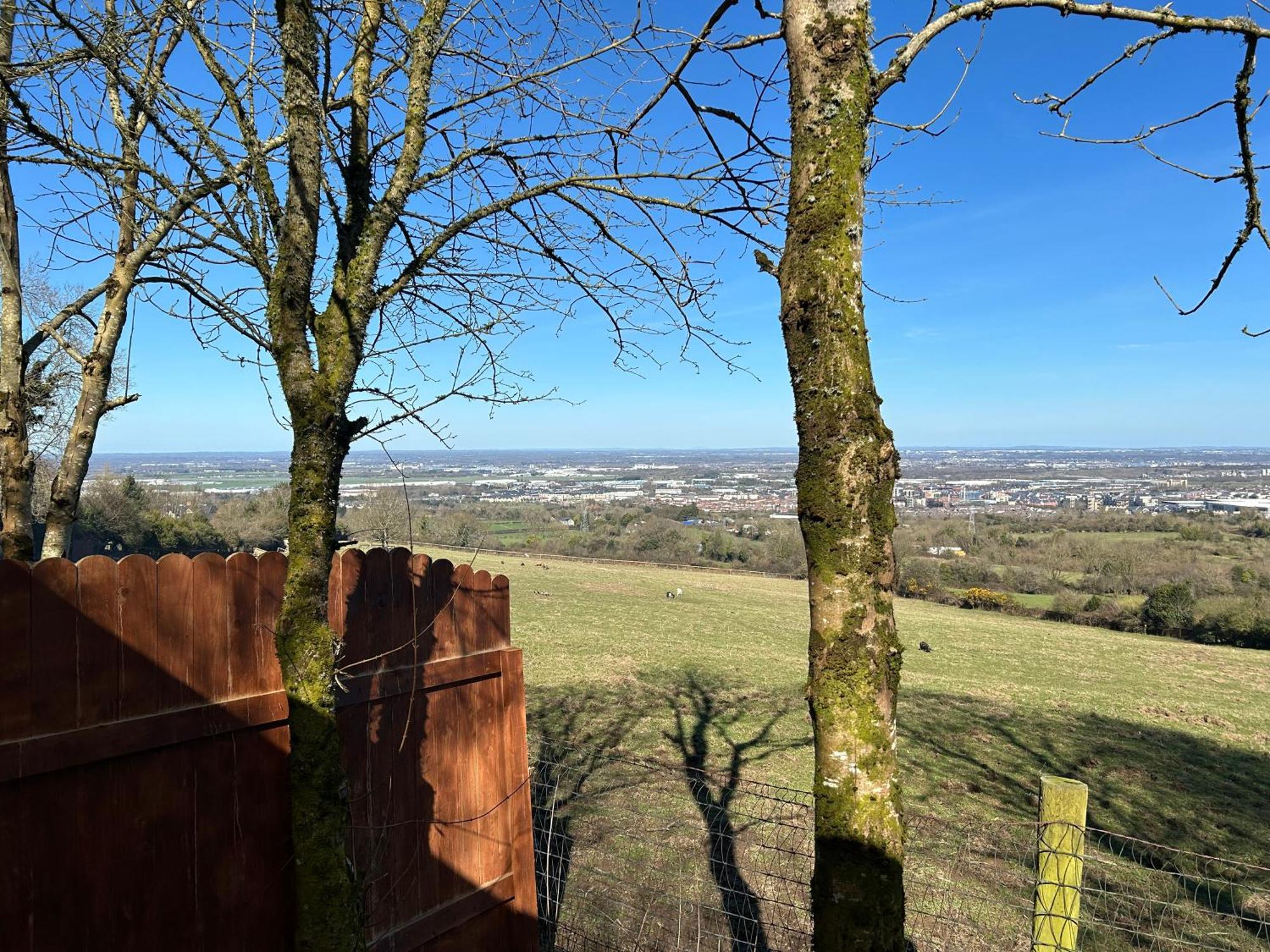 Sky Gazer Cabin In The Woods Dublin Eksteriør bilde
